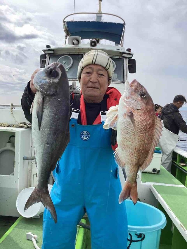 マダイ・メダイ