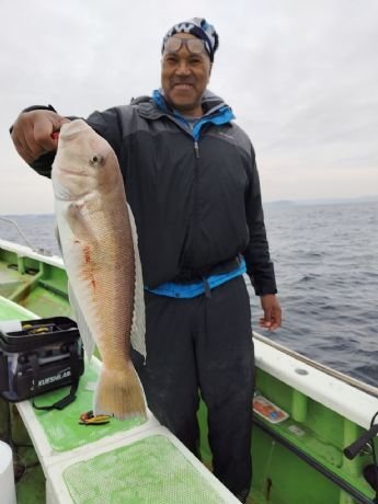 アマダイ(アカアマダイ)