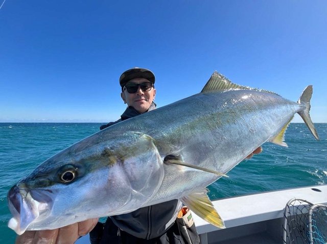 サンパク(ブリ)