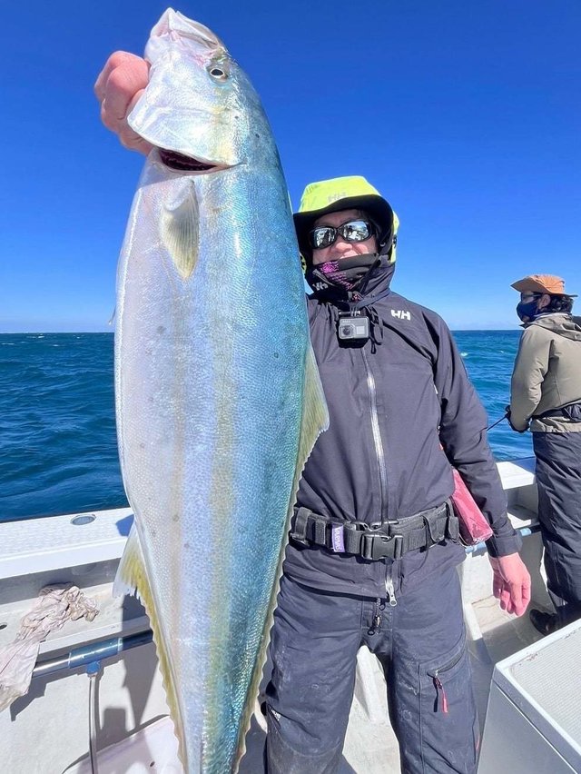 サンパク(ブリ)