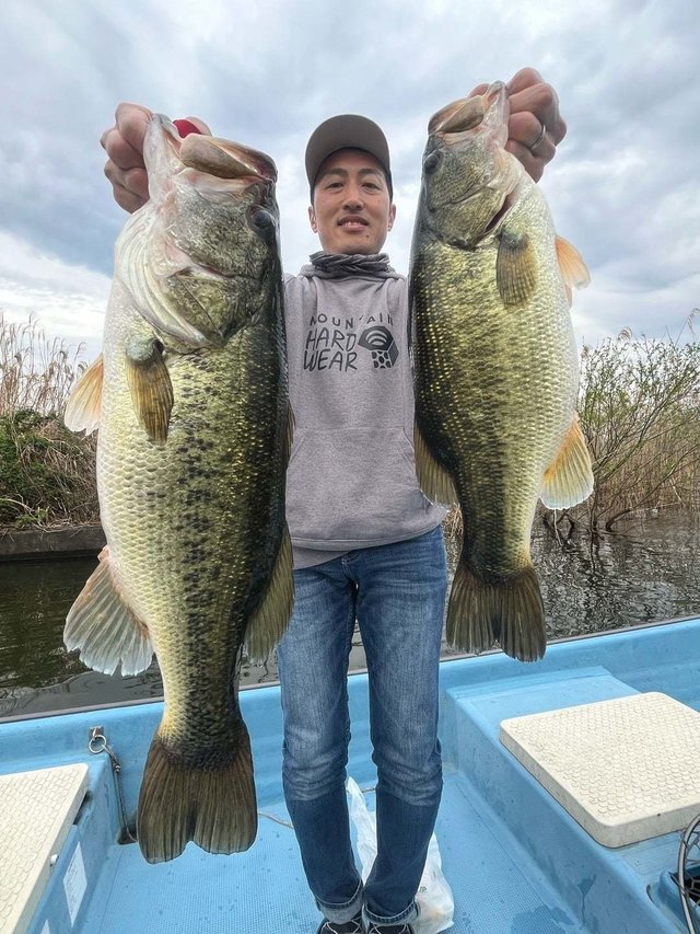 ブラックバス53cm！！の釣果｜2024年4月6日｜ひさの屋（滋賀/）｜釣割