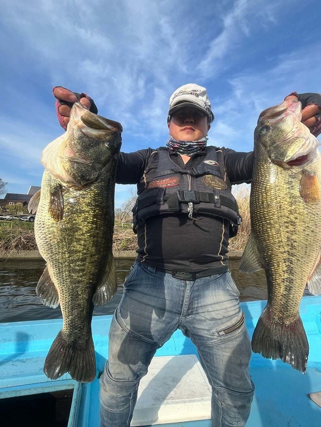 ブラックバス60cm！2匹！の釣果｜2024年4月13日｜ひさの屋（滋賀/）｜釣割