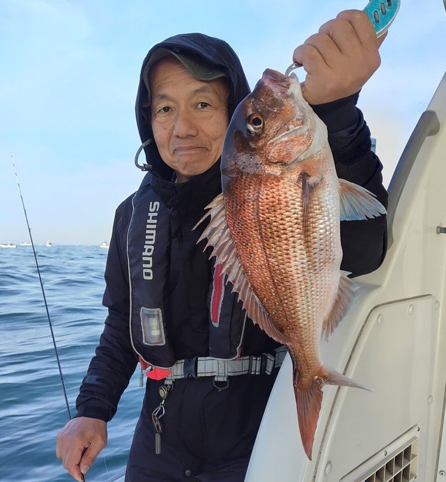 大阪府で釣れたブリの最新釣果、釣り情報【2024年4月】