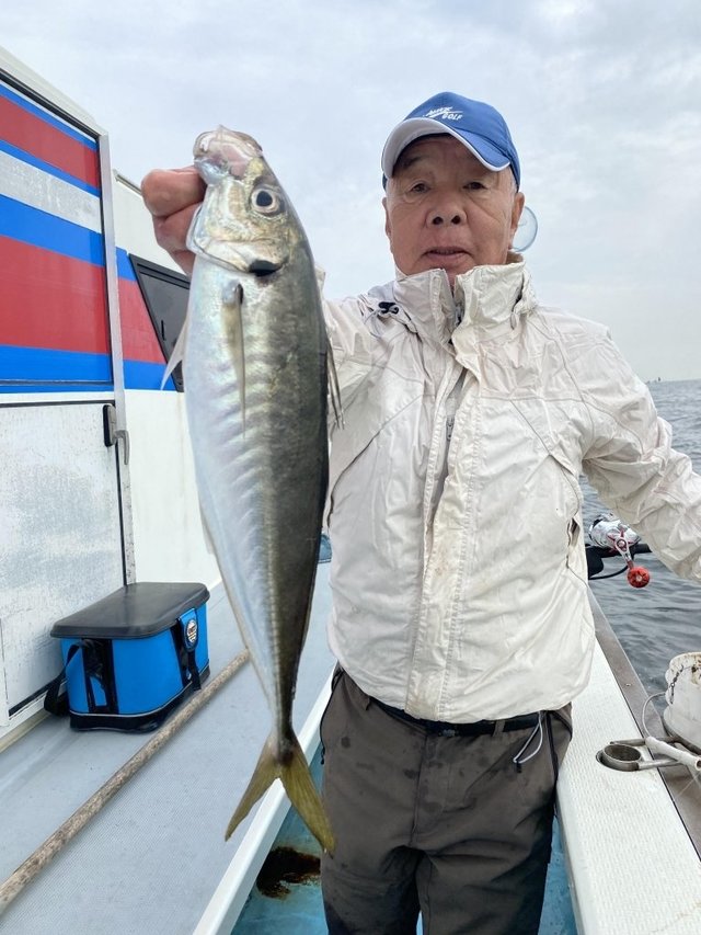 恵比寿笑い　手乗り　まん丸　良型　選抜株 恵比寿笑い 手乗り まん丸 良型 選抜株