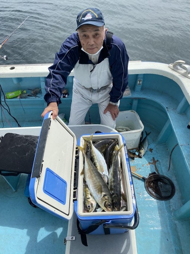 アジ48cm！43匹！の釣果｜2024年4月21日｜吉明丸（神奈川/走水港）｜釣割