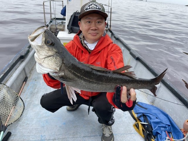 シーバス(スズキ)