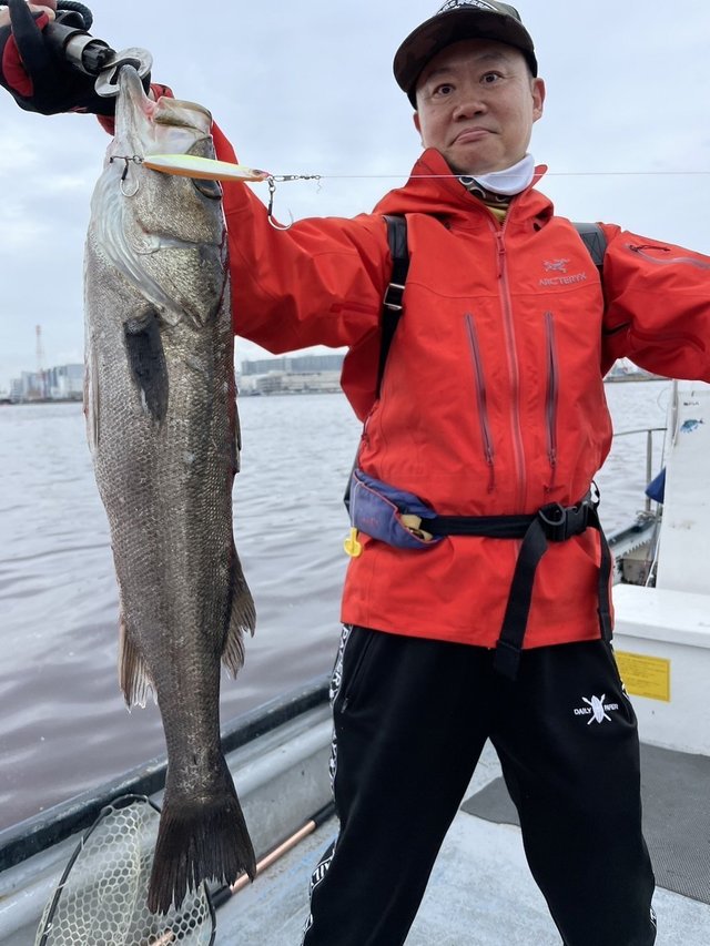 シーバス(スズキ)