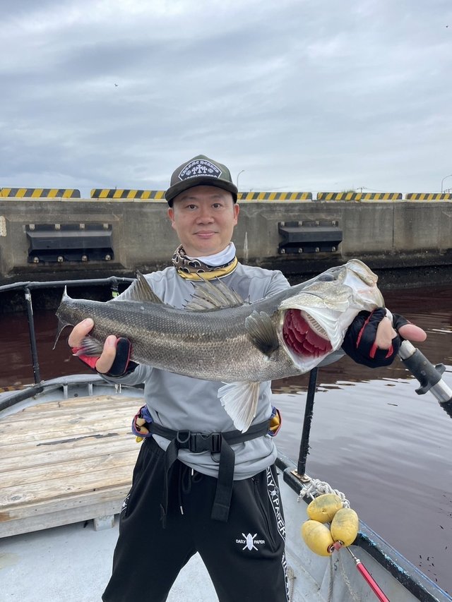 シーバス(スズキ)