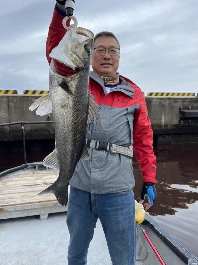 シーバス(スズキ)