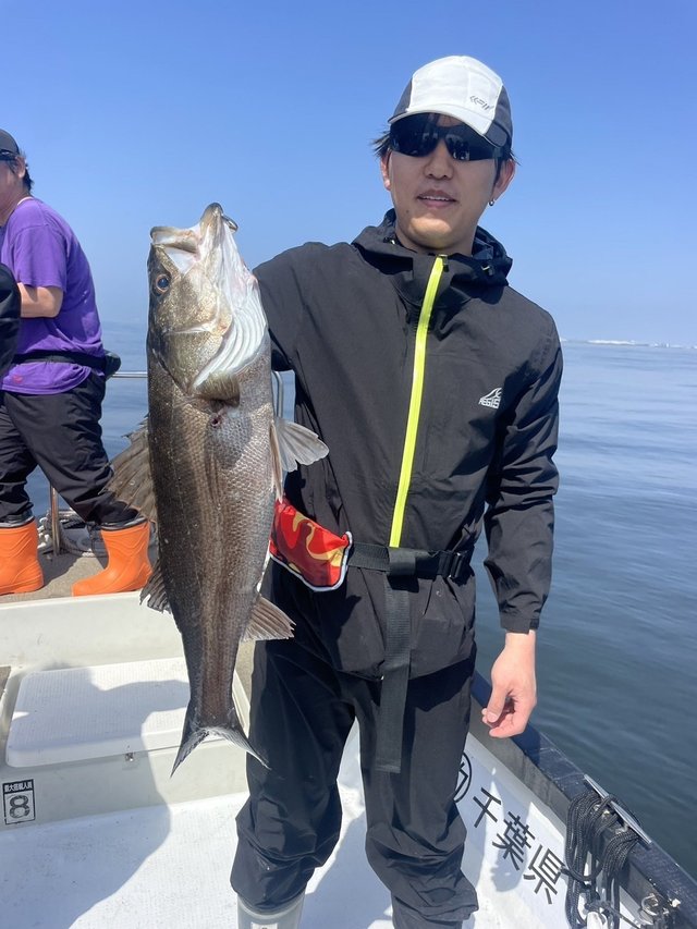 シーバス(スズキ)