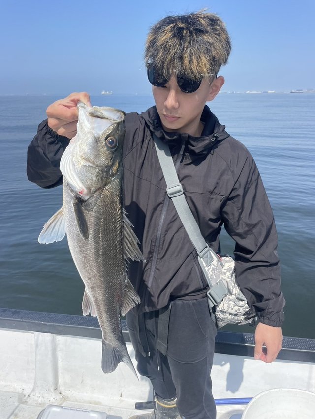 シーバス(スズキ)