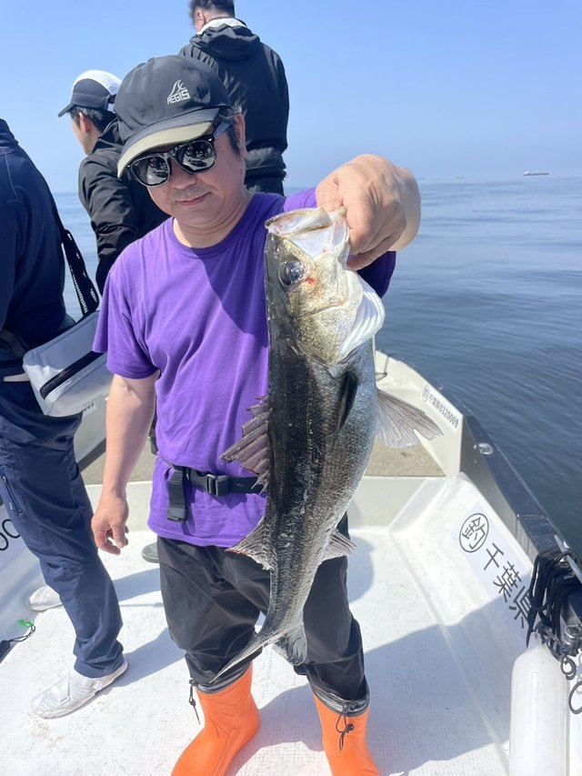 シーバス(スズキ)