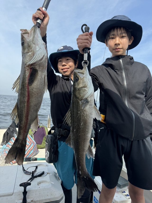 シーバス(スズキ)