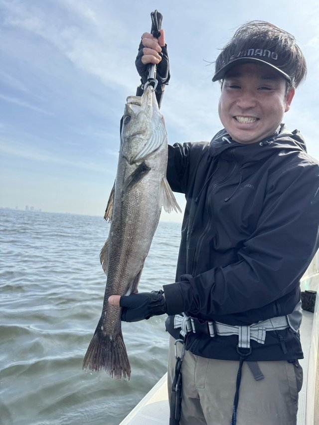 シーバス(スズキ)