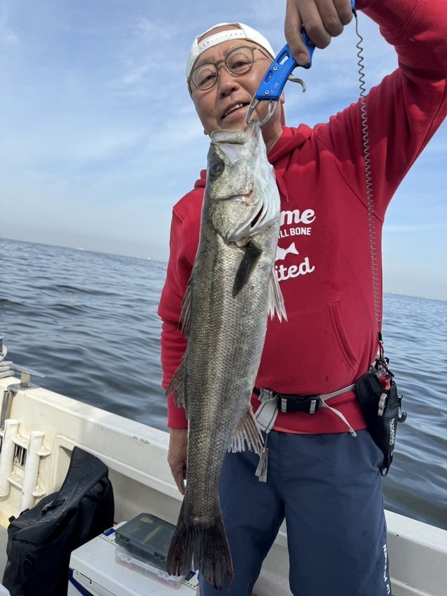 シーバス(スズキ)