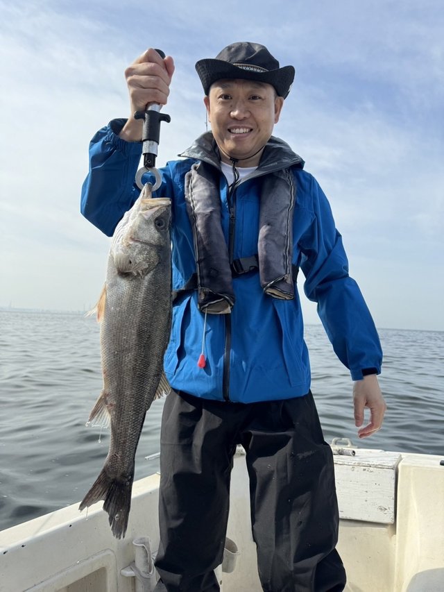 シーバス(スズキ)