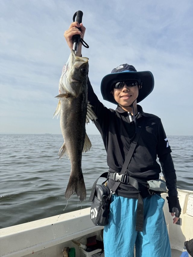 シーバス(スズキ)