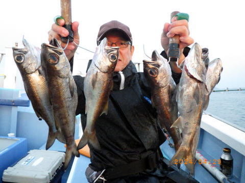 2026年2月最新】聡丸（千葉県）の最新釣果情報