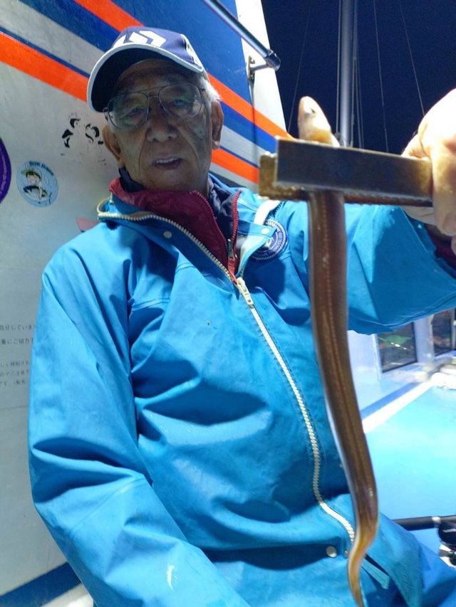 アナゴ(マアナゴ)