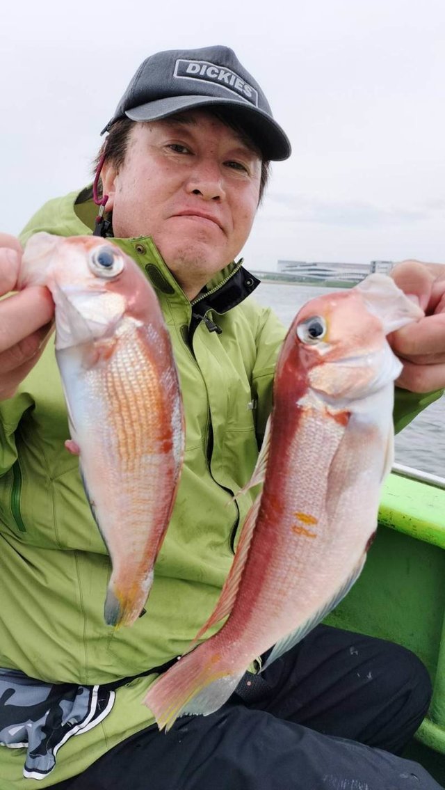 アマダイ(アカアマダイ)