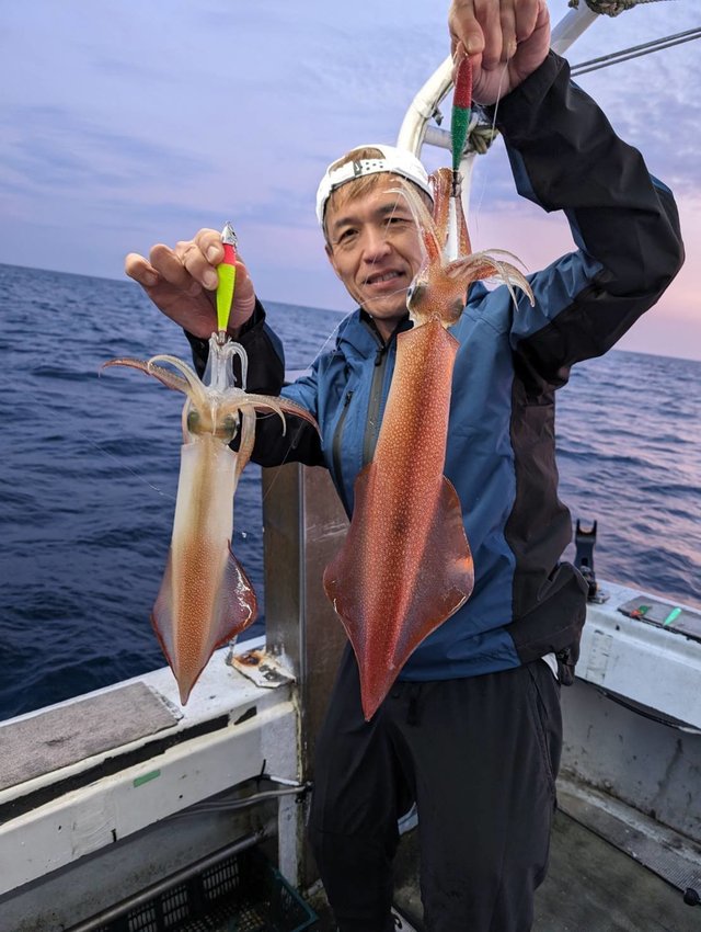 イカ(ヤリイカ)