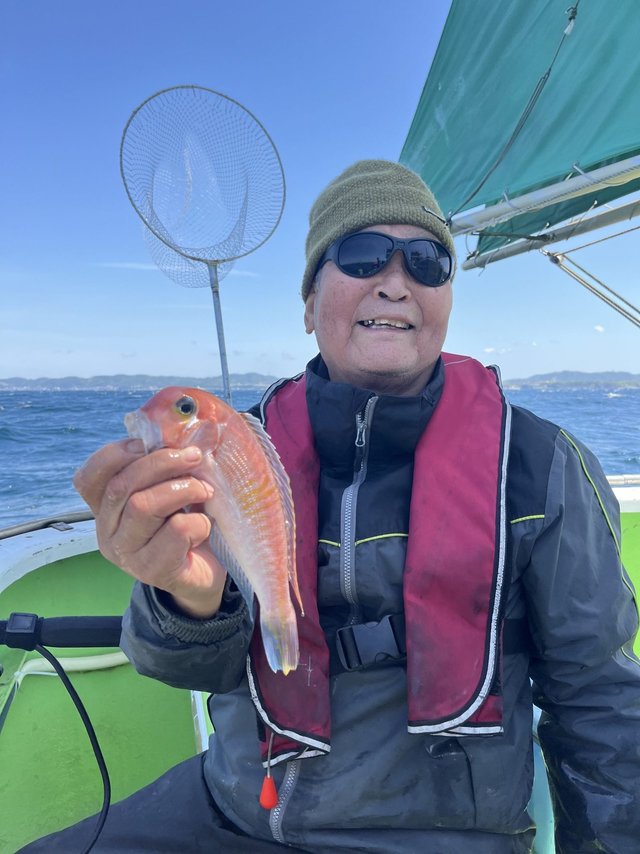 アマダイ(アカアマダイ)