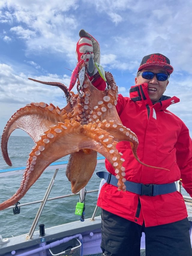 マダコ2.40kg!12匹!の釣果|2024年5月12日|日立丸(茨城/日立港第五 マダコ2.40kg!12匹!の釣果|2024年5月12日|日立丸(茨城/日立港第五