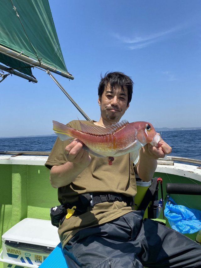 アマダイ(アカアマダイ)