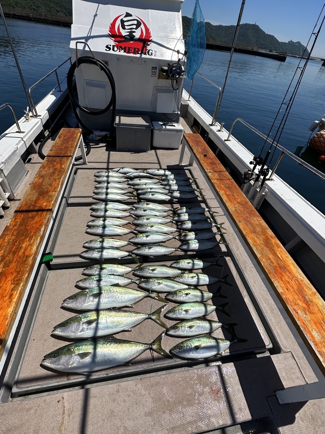 ハマチ70cm！25匹！の釣果｜2024年5月19日｜皇（兵庫/福良港）｜釣割