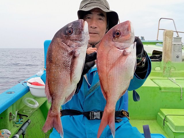 マダイ