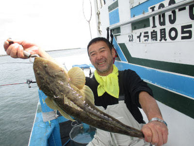 マゴチ