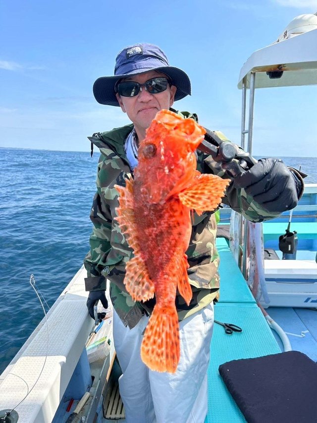 カンコ(ウッカリカサゴ)