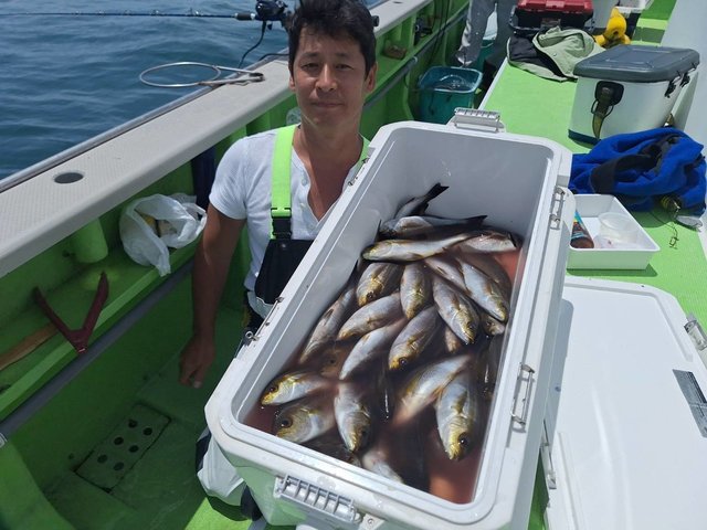 アジ(マアジ)・イサキ