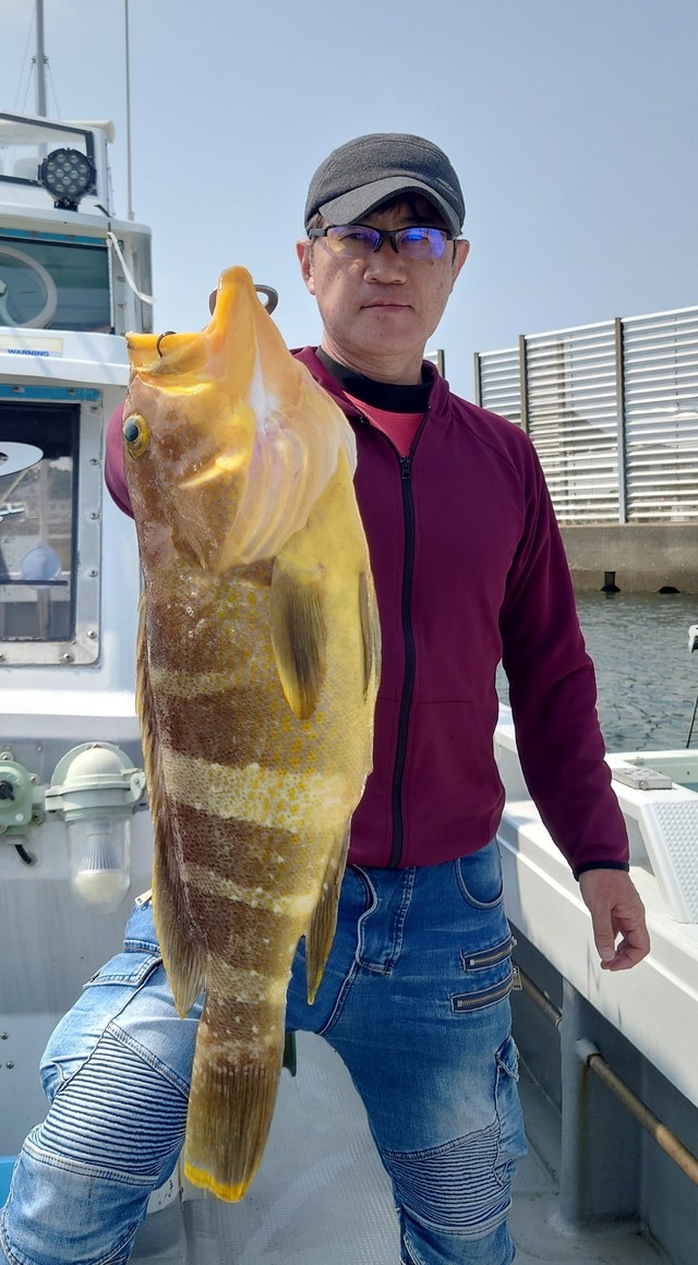 アオナ(アオハタ)