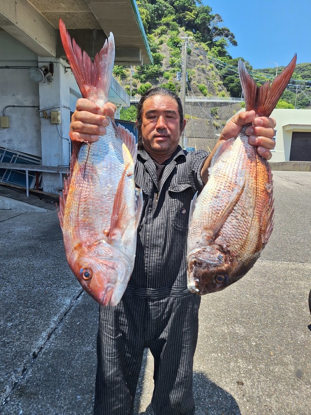 マダイ