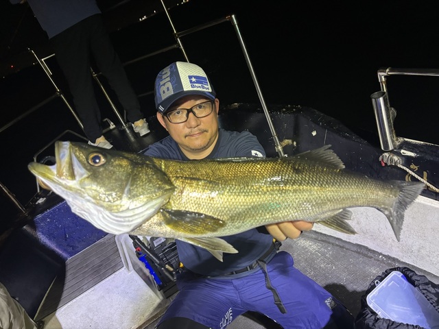 シーバス(スズキ)