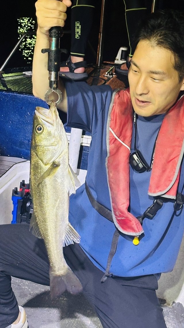 シーバス(スズキ)