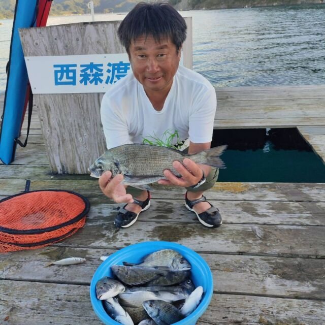 チヌ(クロダイ)