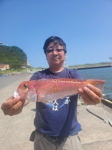 アマダイ(アカアマダイ)