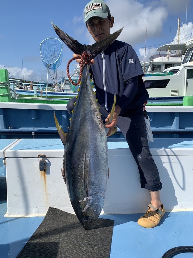 キハダマグロ(キハダ)