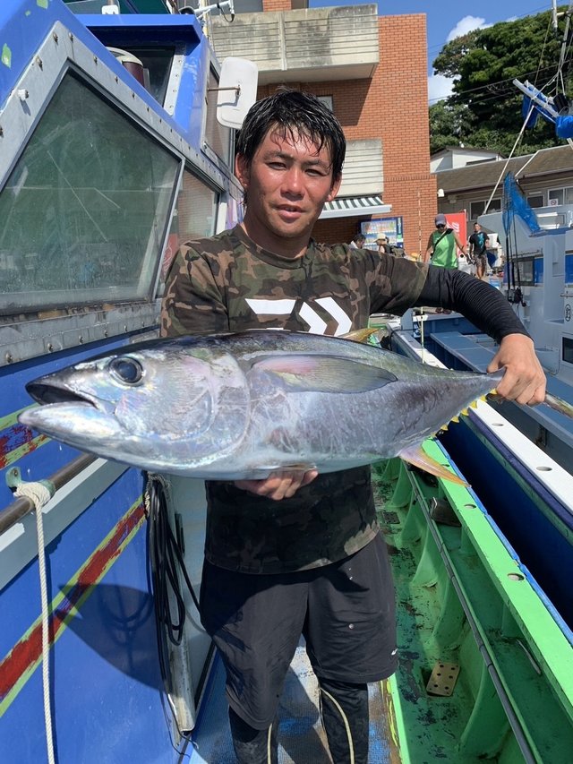 キハダマグロ(キハダ)