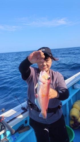 アマダイ(アカアマダイ)