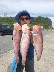 アマダイ(アカアマダイ)