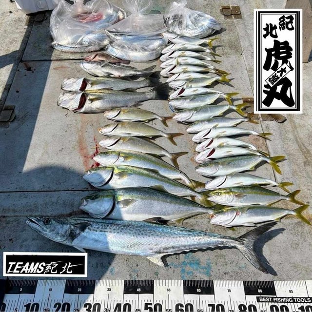 チヌ０号54 チヌ0号54 チヌ0号54 【公式通販】