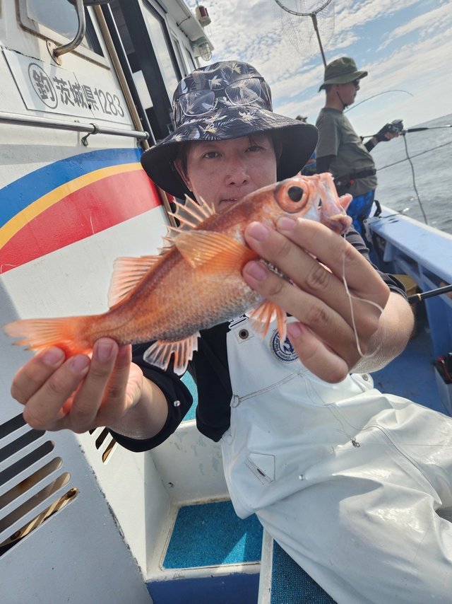 アカムツ