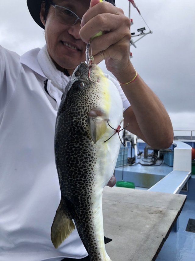 ショウサイフグ