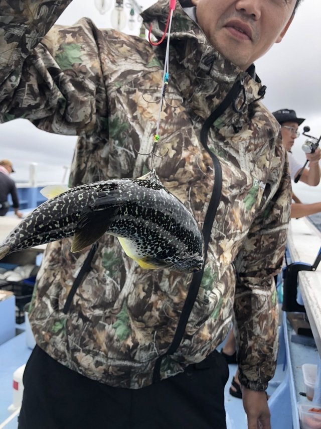 ショウサイフグ