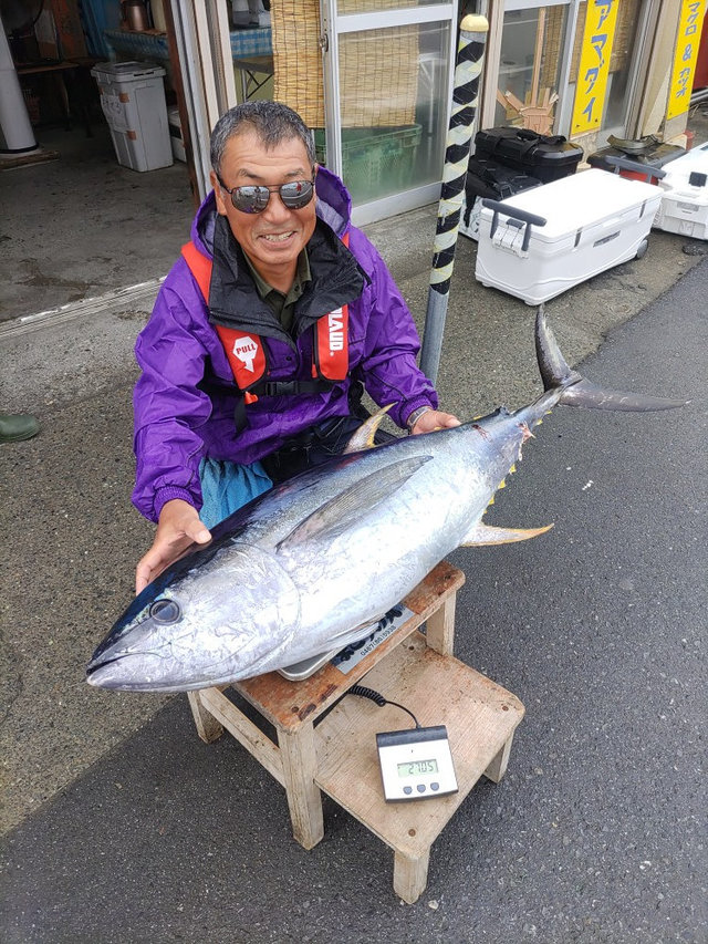 キハダマグロ(キハダ)