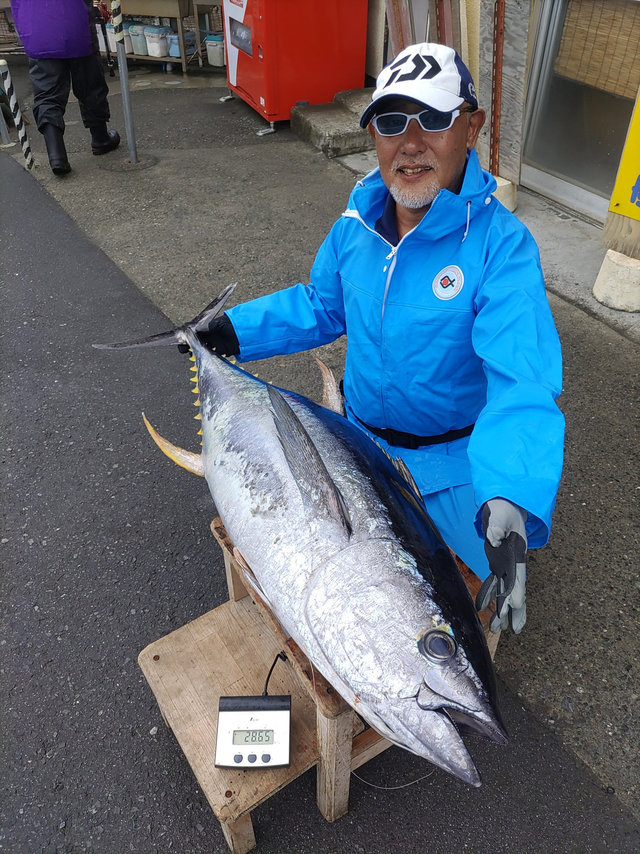 キハダマグロ(キハダ)