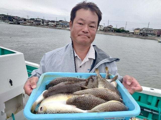 ショウサイフグ